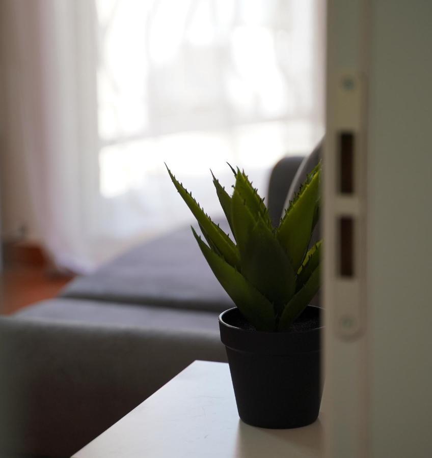 Stylish Apartment Near Tirana Center Esterno foto